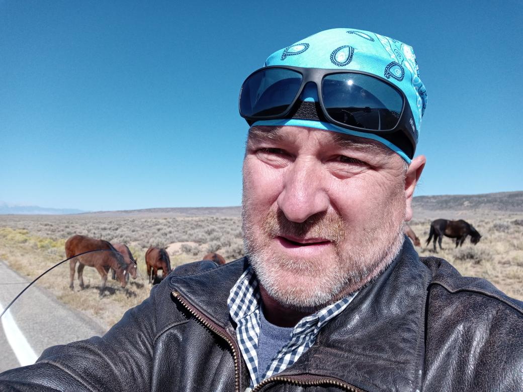 RepLebsock's tweet photo. Riding today. Wild horses crossing the road. 1/4 https://t.co/aL4WU9oOEw
