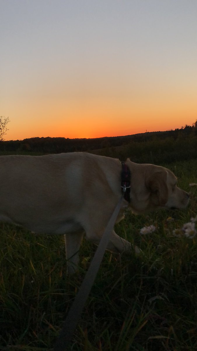 thegreatwmx's tweet photo. #sunsetcatcher https://t.co/V068Cuiarf