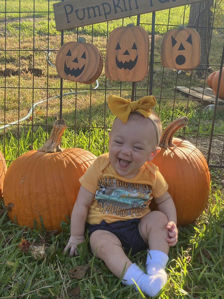 Alexisf55059511's tweet photo. I definitely have the cutest little pumpkin at the pumpkin patch 🥰 https://t.co/iE3GtlzMSo