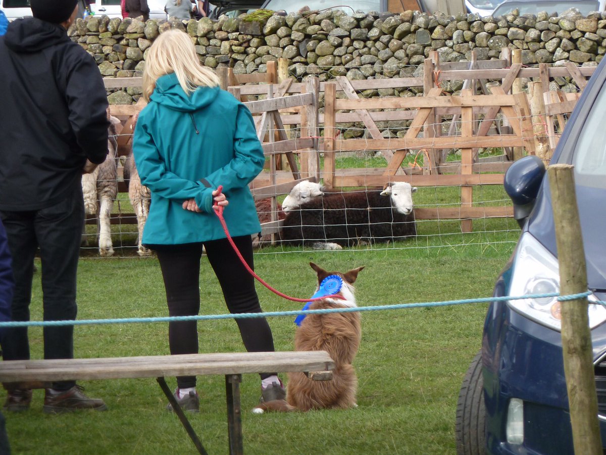 herepath's tweet photo. A year ago this weekend, walked from Black Sail Hut up &amp; over into #Wasdale to enjoy the beauty of many beasts. #WasdaleShow https://t.co/y07DlbLx9Y