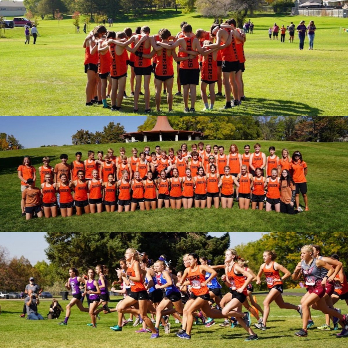 Otownathletics_'s tweet photo. Go Tigers! New Region X-Country Champs both boys and girls teams! #ironhorseweek#tigersforlife#allinthistogether https://t.co/RG7vDQEr4C