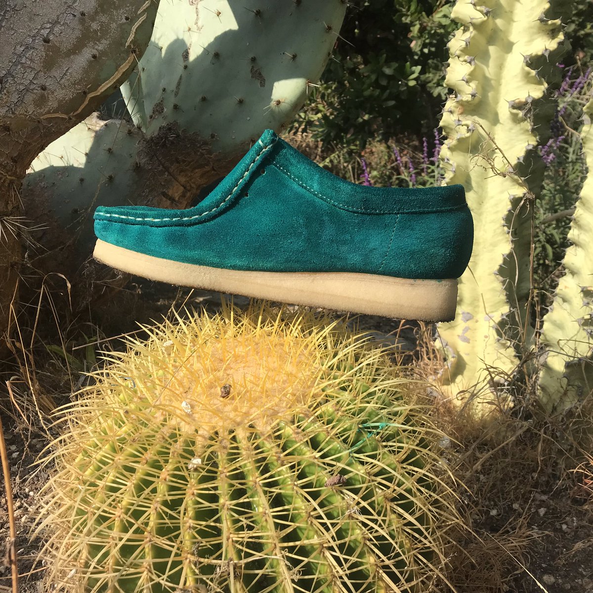 dyed a pair of Clarks today for the first time How it began:           How it went: