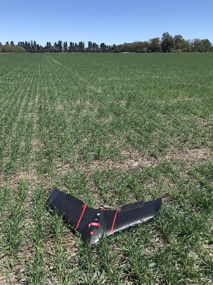 DemeterDrone's tweet image. Como Siempre Todo lo que se Mide se Puede Mejorar! Nuevo Vuelo en INTA EEA Pergamino“. NDVI/NDRE &quot;Biomasa+Ambientación+Prescripción&quot; #senseflyebeesq #intapergamino #ebeesq #drones #agtech #ebeesensefly #campoargentino #campo #ndvi #ingenieroagronomo #agriculturadeprecisión