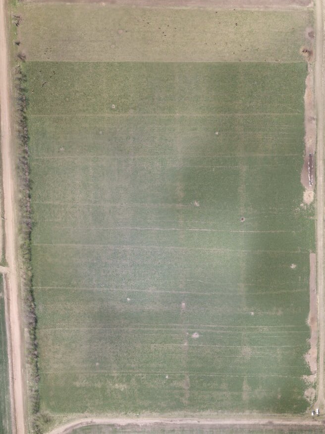 DemeterDrone's tweet image. Como Siempre Todo lo que se Mide se Puede Mejorar! Nuevo Vuelo en INTA EEA Pergamino“. NDVI/NDRE &quot;Biomasa+Ambientación+Prescripción&quot; #senseflyebeesq #intapergamino #ebeesq #drones #agtech #ebeesensefly #campoargentino #campo #ndvi #ingenieroagronomo #agriculturadeprecisión