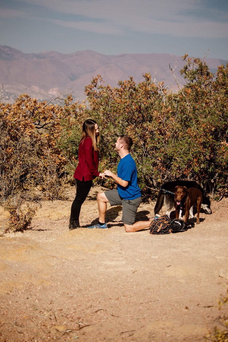 Justin Felisko tweet media