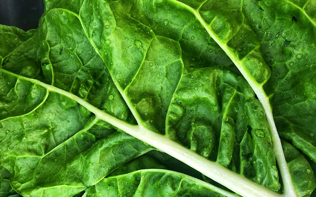 DeborahsBlog's tweet photo. Blood sugar control issues are a prevalent issue in our modern world. Diabetes is the #1 cause of blindness, amputation, impotence and premature death in America. Learn how to help control your blood sugar naturally... Click the link for more info. https://t.co/xC6gz29pxT🌱 https://t.co/Bf79hkR2hE