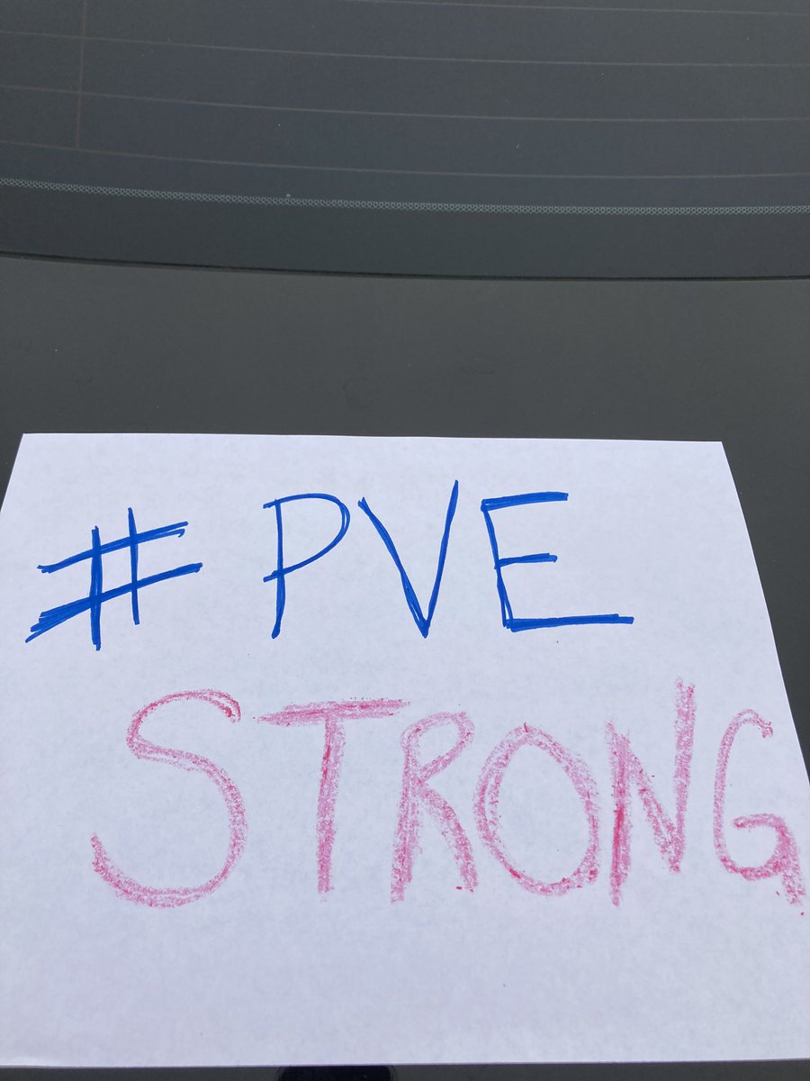 TraciMattis's tweet photo. @lsedfoundation Started my morning with #RacetotheFuture! Thanks to my friend, Beth Mann for walking with me! #PVELive https://t.co/h0CjChdLb6
