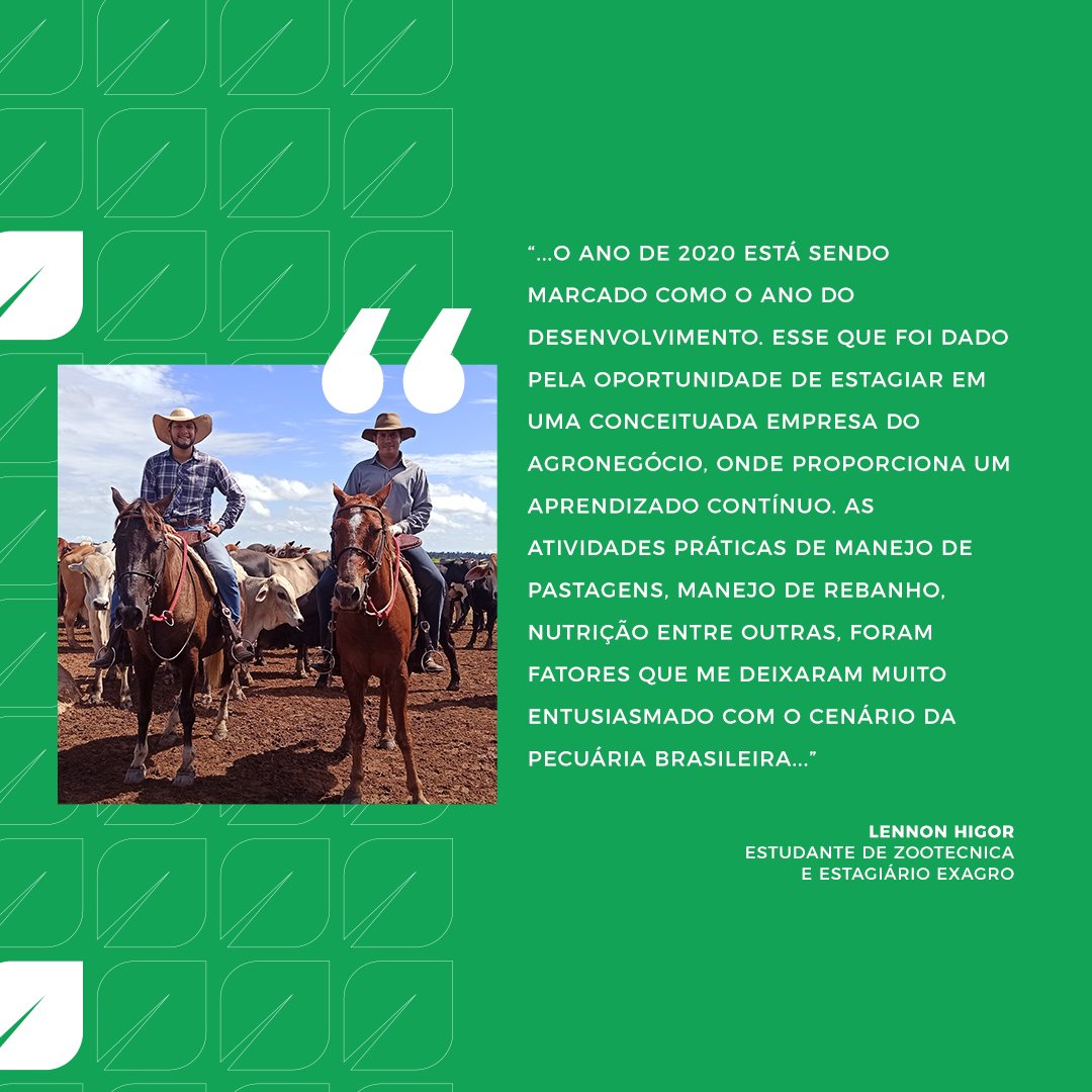 exagro's tweet photo. Programa de Estágio Exagro 2021!  O objetivo do Programa de Estágio é preparar os estudantes para futuramente atuarem como trainee e posteriormente como consultor.  Saiba mais: https://t.co/MCljRdMjax
#exagro #pecuária #consultoria #estágio #estagioexagro2021 https://t.co/j5SHu4V9d9