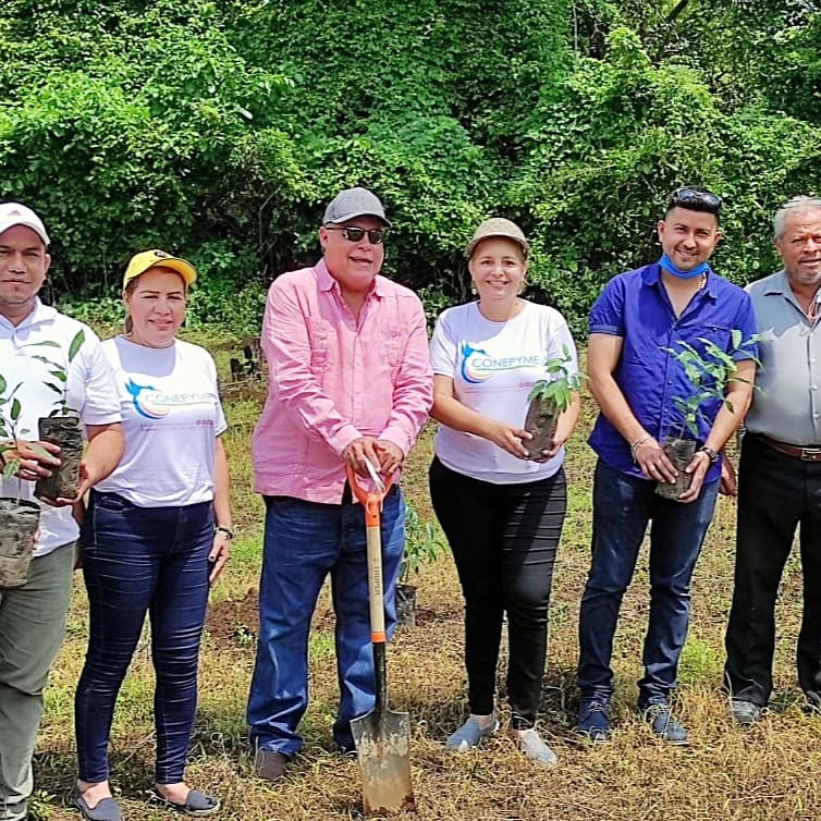 conepyme's tweet photo. Jornada de Reforestación de CONIMIPYME, sembramos 260 arbolitos de Caoba, cada mes le corresponde a una de nuestras Cámaras.Las MiPYMES somos responsables con la Pachamama. https://t.co/ak2DVjLdBh