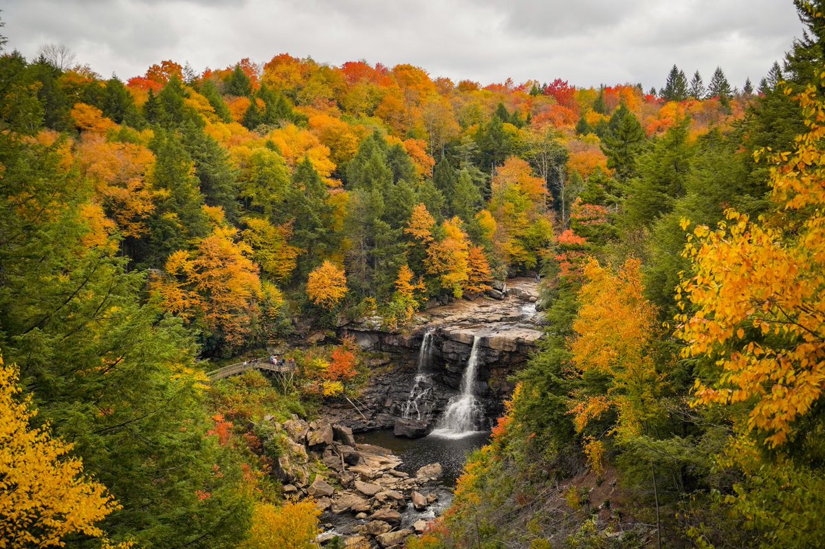 GFCoyle's tweet photo. Fall in Almost Heaven. 🍂 https://t.co/5vsCDhelYn