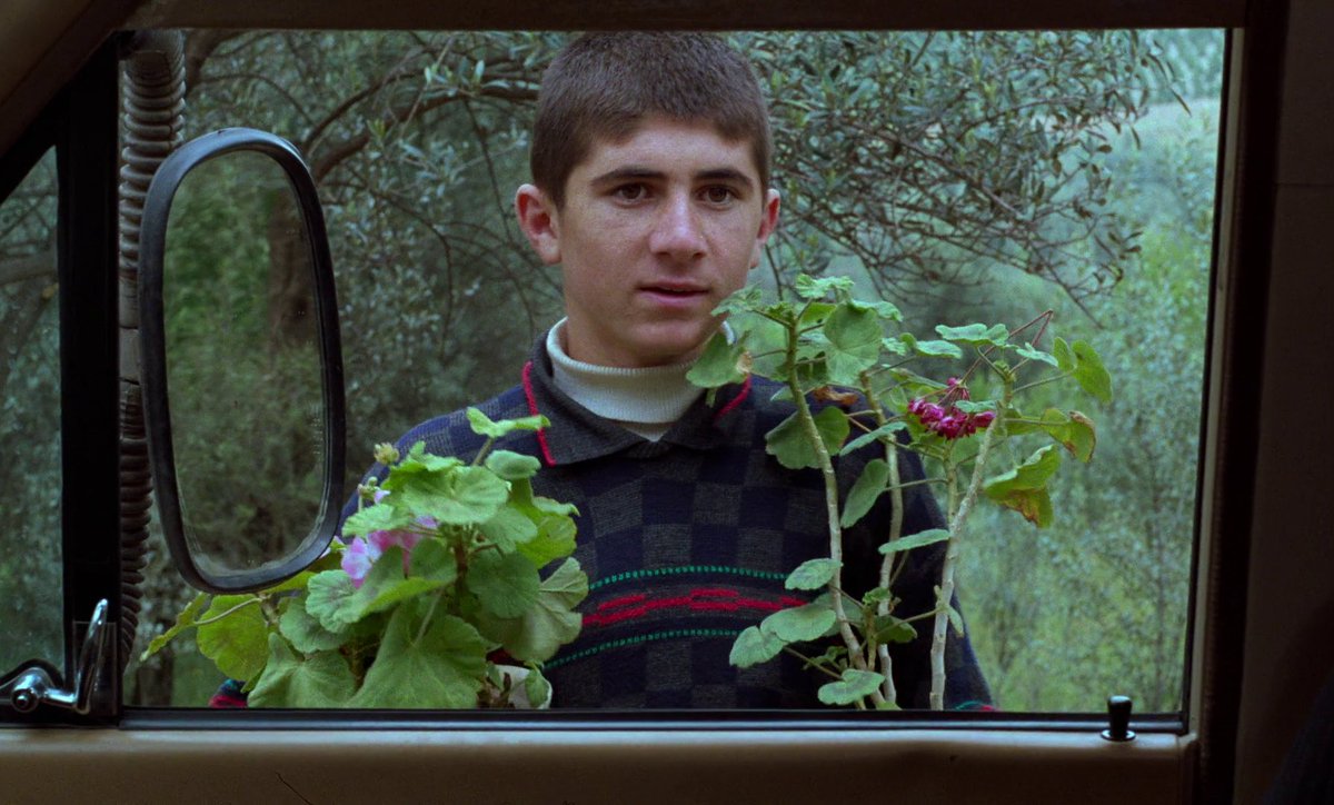 eraslanmbe's tweet photo. Through the Olive Trees [زیر درختان زیتون] - Abbas Kiarostami https://t.co/7ZGr9QIQB8