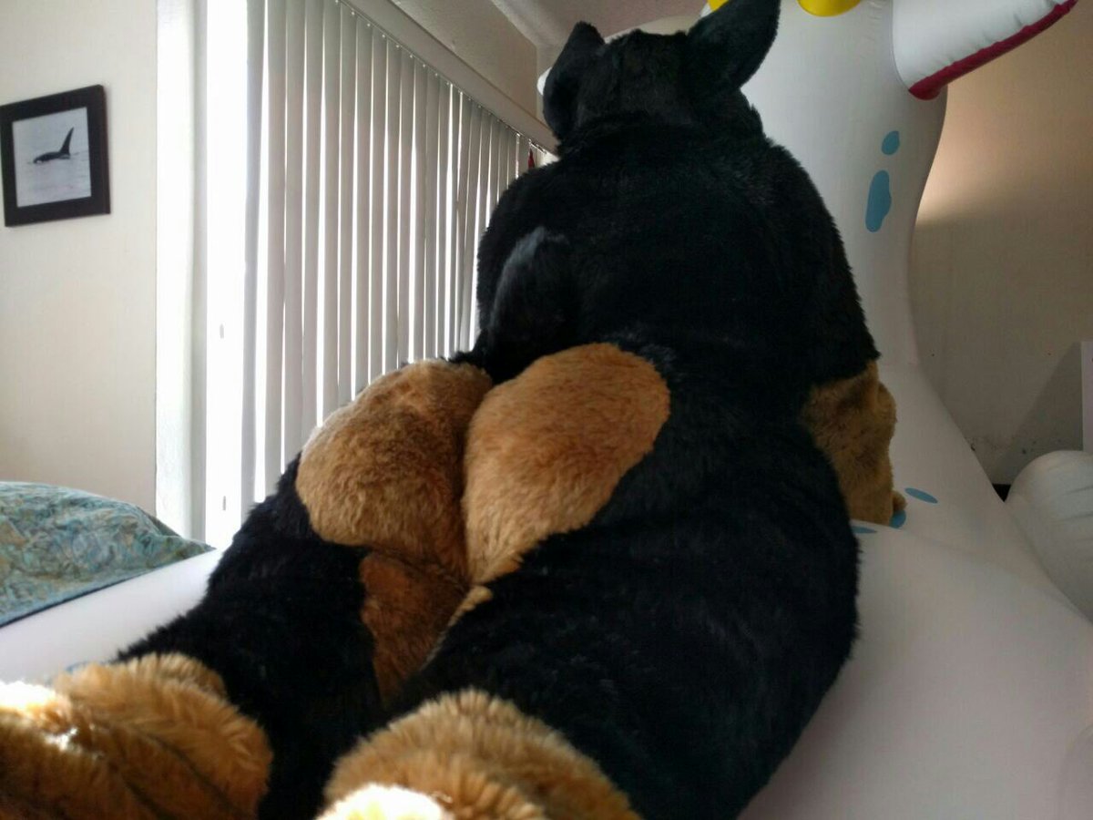 MellowRumpus's tweet image. Normalize fursuit butts like these. I need thicc cake that I can put my face in between! 😩❤🍑