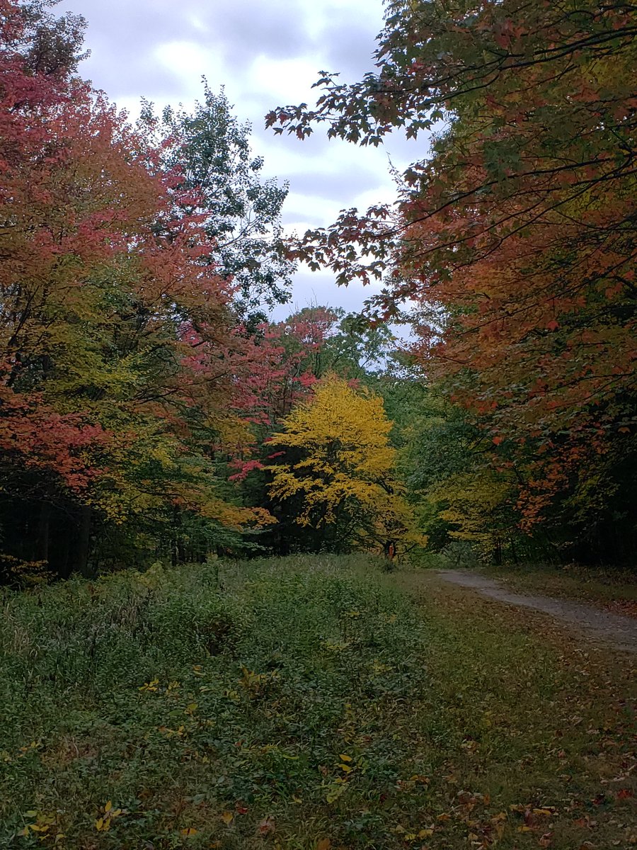 BuffaloInABox's tweet photo. @StepOutBFLO #ChestnutRidge #EternalFlame
#Free #Foilage #BuffaLove
#Wny #Roc #UpstateNY
#PositiveVibes
#FallBUF
https://t.co/MaLsFizt9i
#StaySafe https://t.co/ZDXfSxuiFy