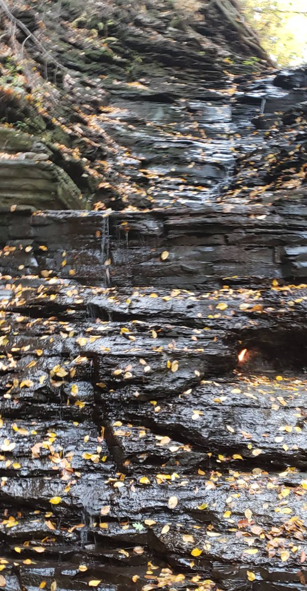BuffaloInABox's tweet photo. @StepOutBFLO #ChestnutRidge #EternalFlame
#Free #Foilage #BuffaLove
#Wny #Roc #UpstateNY
#PositiveVibes
#FallBUF
https://t.co/MaLsFizt9i
#StaySafe https://t.co/ZDXfSxuiFy