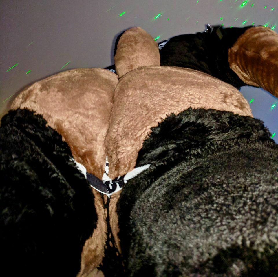 MellowRumpus's tweet image. Normalize fursuit butts like these. I need thicc cake that I can put my face in between! 😩❤🍑
