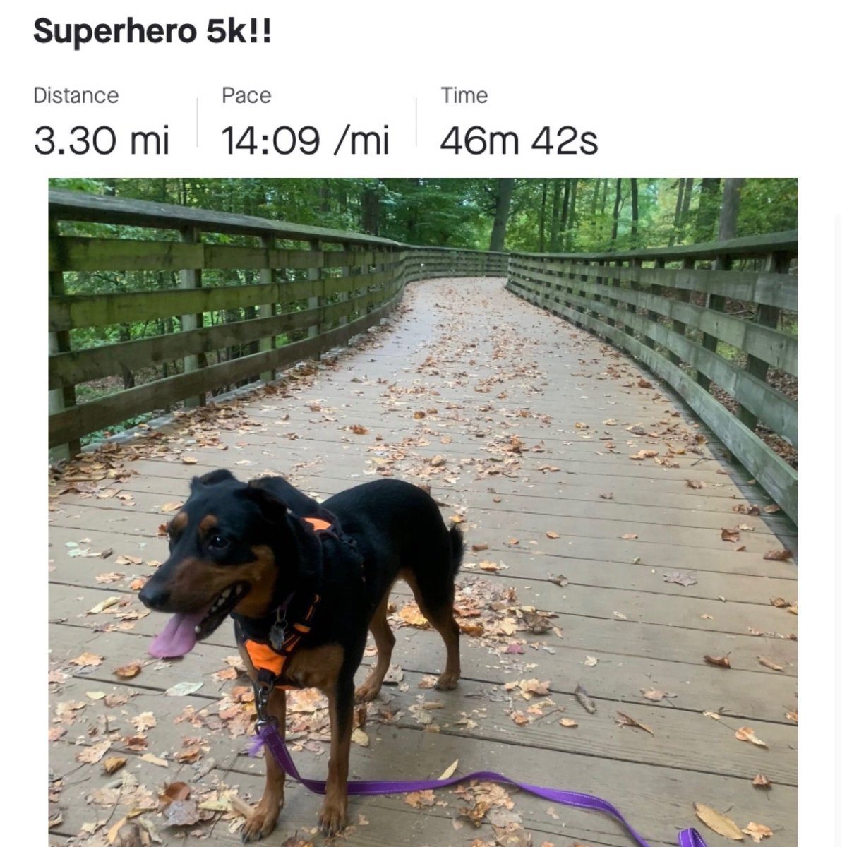 KSSuperHERO's tweet photo. “What do you MEAN there’s no award for best dog costume?!” Frida just completed her 5k in advance of tomorrow! #kssuperhero
⠀
⏰ Don’t forget to join us bright and early for our warm up tomorrow morning at 9am on IG and FB live! https://t.co/0ktefgpCsU