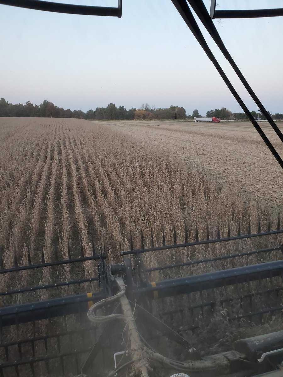 Chris Chinn (@chrischinn) on Twitter photo Beautiful day for harvest, I just wish there was a few more hours of day light! This week we have had great weather for harvesting crops. #harvest2020 #Thankful Beautiful day for harvest, I just wish there was a few more hours of day light! This week we have had great weather for harvesting crops. #harvest2020 #Thankful