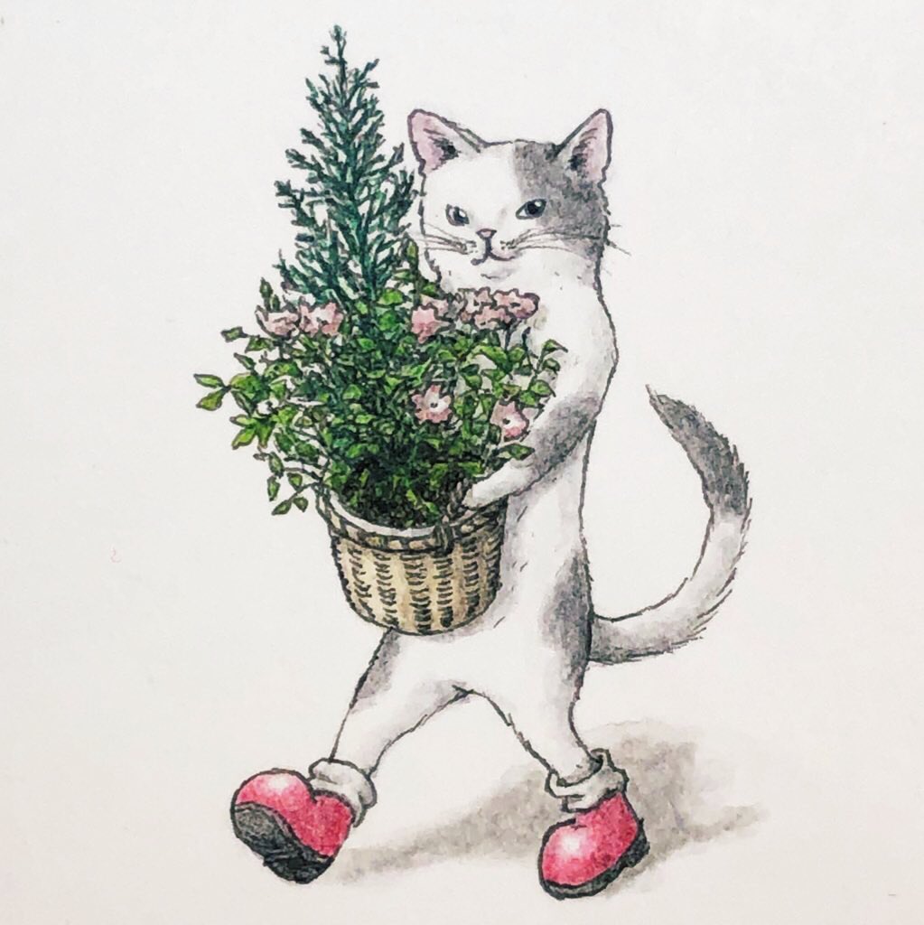 「『花と猫』??
 #イラスト  #過去絵 」|エルクポットの動物群像絵🐾のイラスト