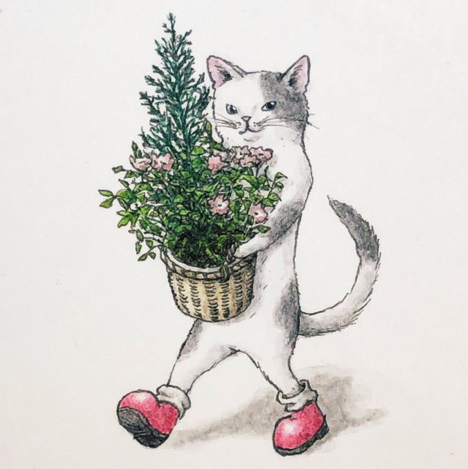 『花と猫』??
 #イラスト  #過去絵 
