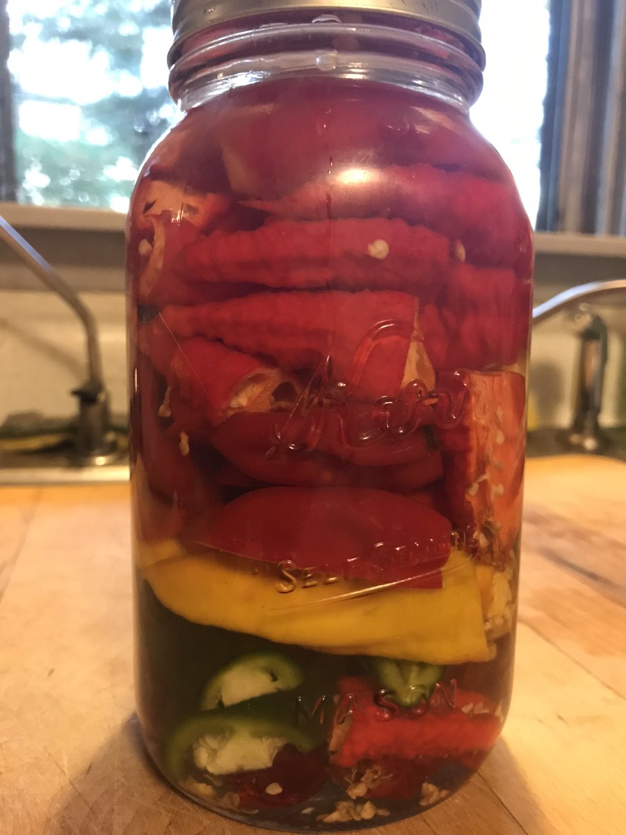 Oliver_Klozov's tweet photo. Let the fermentation begin! Shooting for a fiery Carolina Reaper hot sauce 🔥and a milder green sauce. #homefermentation #hotsauce #carolinareaper #greensauce https://t.co/d7ya5i2EMW