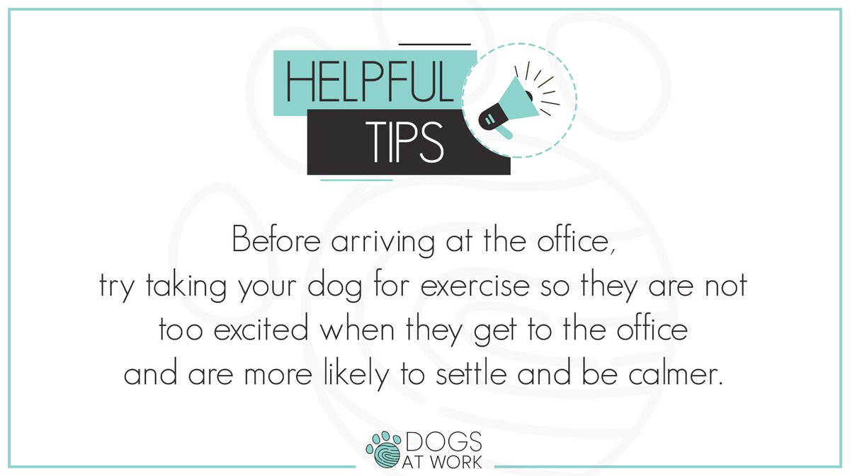 Before arriving at the office, try taking your dog for exercise so they are not too excited when they get to the office and are more likely to settle and be calmer.