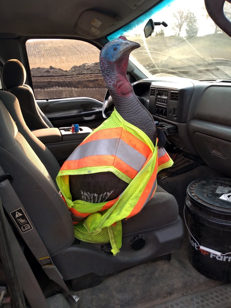 TheBig_Vanilla's tweet photo. Tom is safe https://t.co/ZMp4AgAFS3