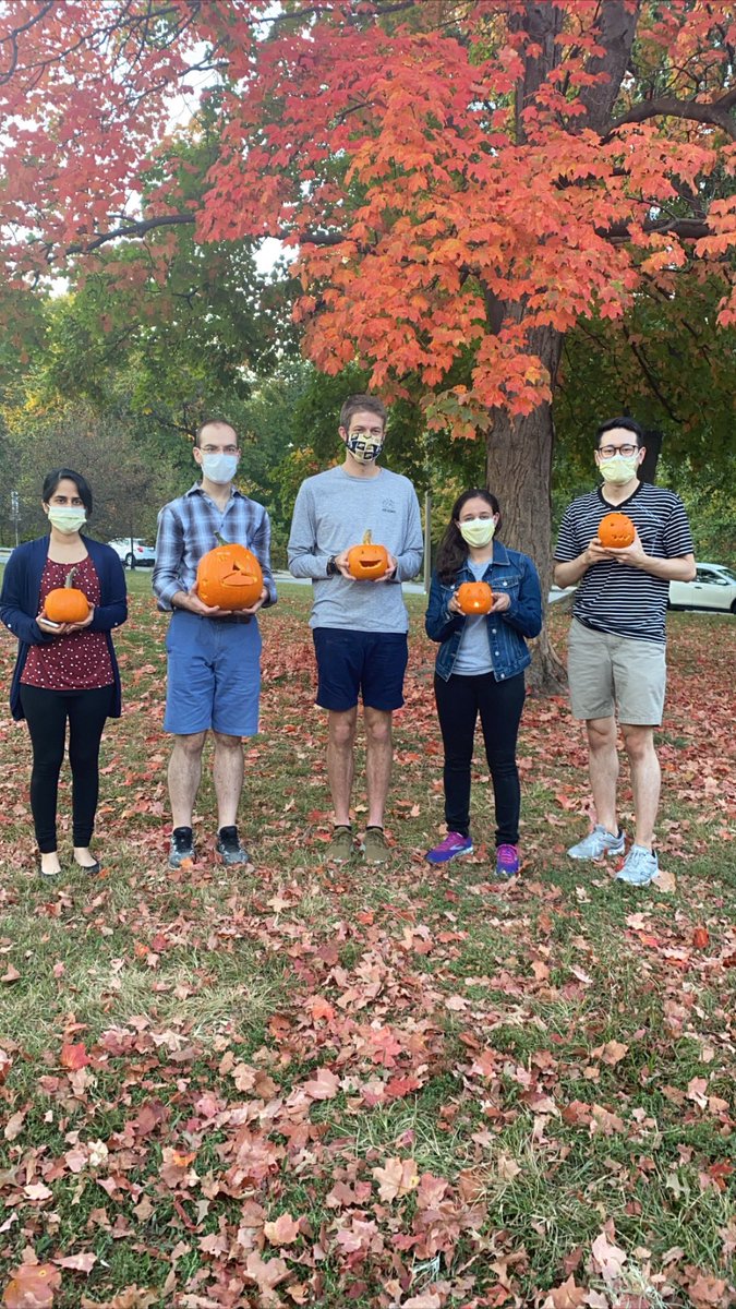 WashUMedIMRes's tweet photo. Loved seeing everyone pumpkin spice it up at the park today! They were certainly ahead of the carve!
#fallfunday #pumpkincarvers #forestpark #stl #washuimresidency
@BrendanJKnapp @AavaKhatiwada @AlyssaSelf6 @dcoscomd @amaad_md @SteveFuest @taylor_geisman @HimaAtluri https://t.co/hXpl6jHD5p