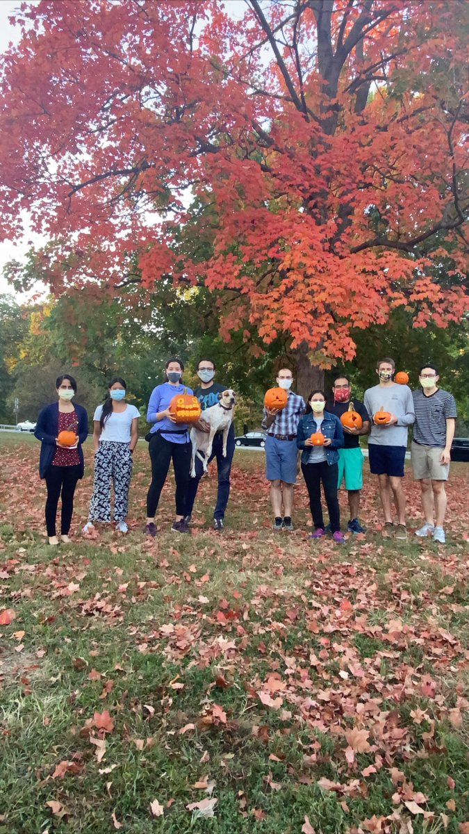 WashUMedIMRes's tweet photo. Loved seeing everyone pumpkin spice it up at the park today! They were certainly ahead of the carve!
#fallfunday #pumpkincarvers #forestpark #stl #washuimresidency
@BrendanJKnapp @AavaKhatiwada @AlyssaSelf6 @dcoscomd @amaad_md @SteveFuest @taylor_geisman @HimaAtluri https://t.co/hXpl6jHD5p
