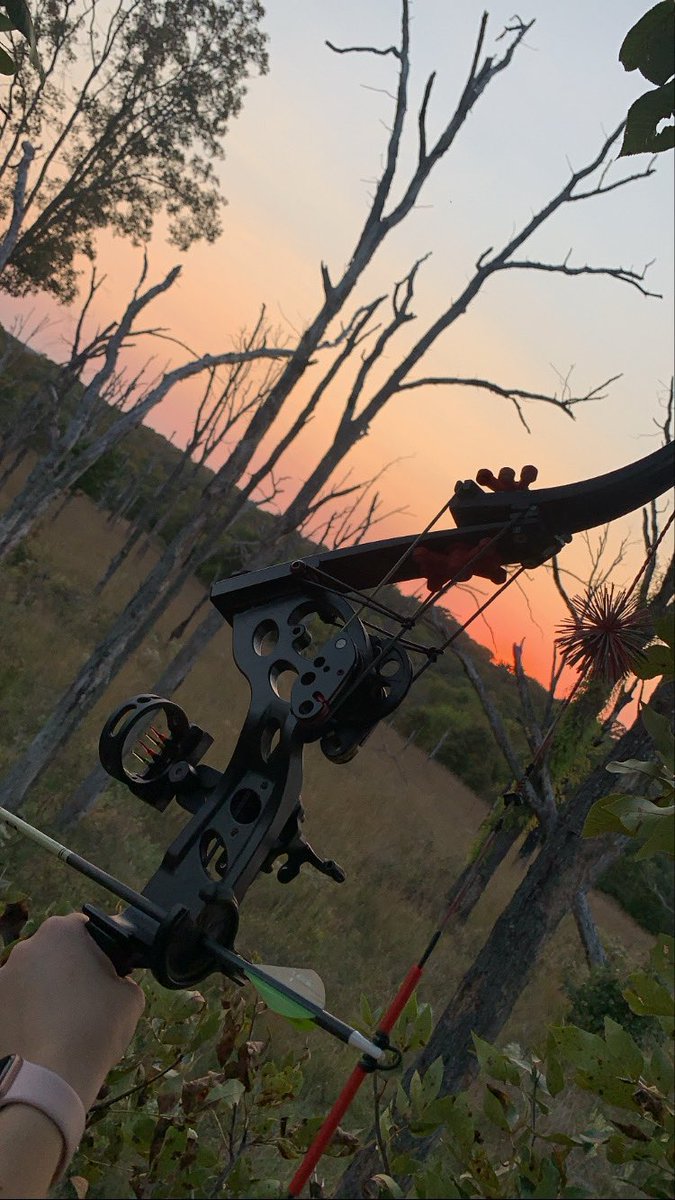 jacelyn smith tweet media