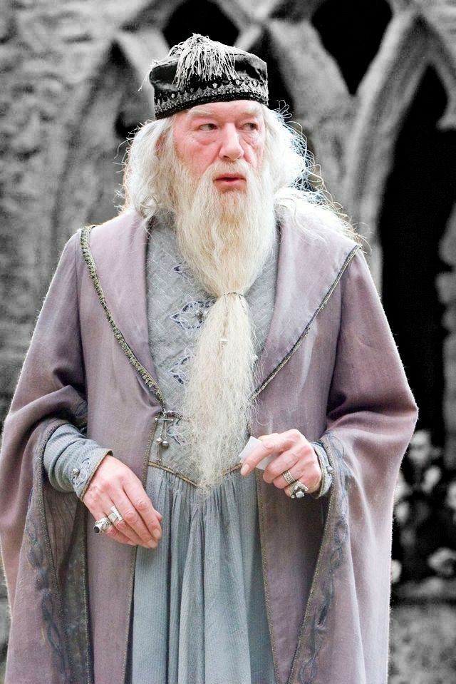 dumbledore da casa arryn