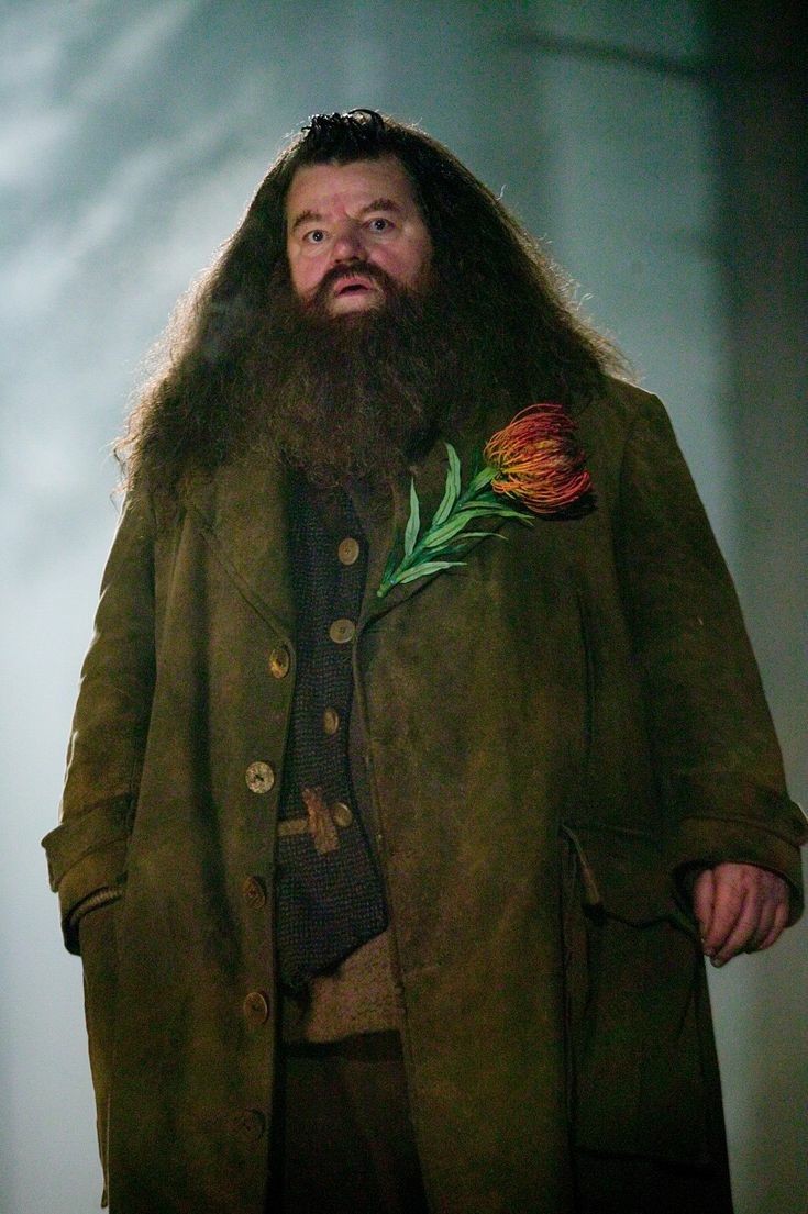 hagrid da casa greyjoy