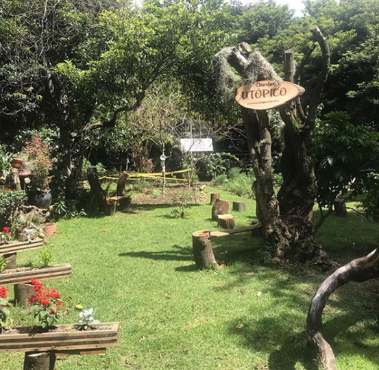 JAC_LaEsmeralda's tweet photo. Desde nuestro #EcoBarrioLaEsmeralda los invitamos a conocer y apoyar nuestro "Jardin Utopico", un espacio de integración con la naturaleza  #YoCuidoMiEsmeralda @Ambientebogota @habitatbogota @BogotaParticipa  @Bogota @JBotanicoBogota https://t.co/PB8dRa1kGx