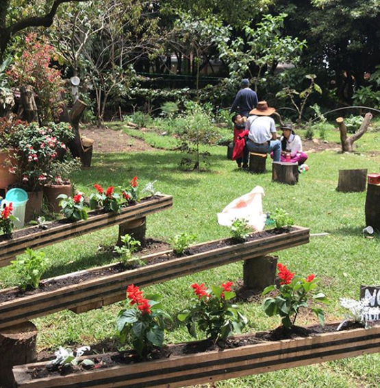 JAC_LaEsmeralda's tweet photo. Desde nuestro #EcoBarrioLaEsmeralda los invitamos a conocer y apoyar nuestro "Jardin Utopico", un espacio de integración con la naturaleza  #YoCuidoMiEsmeralda @Ambientebogota @habitatbogota @BogotaParticipa  @Bogota @JBotanicoBogota https://t.co/PB8dRa1kGx