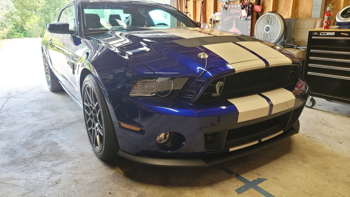 MustangsbyMatt's tweet photo. So, it's safe to say I love my job. I'll be adding the @VMPPERFORMANCE Stage 3 kit to this near mint 2014 Shelby GT500 which was graciously donated by VMP. Stay tuned for more.
ps: The #SUB2LTT plate is back in action. @LinusTech @nicklmg @sarahbbutt @jmart604 https://t.co/pursnVCfA2