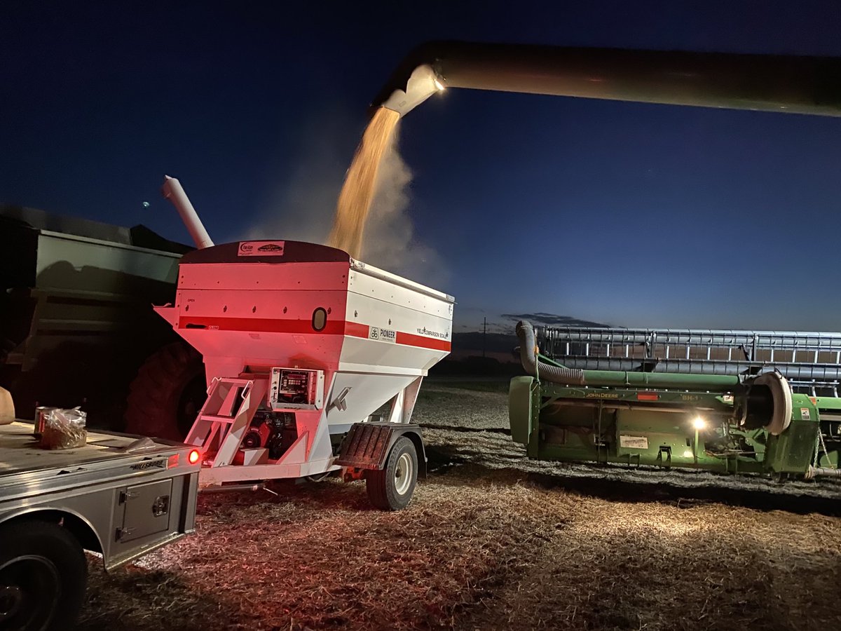 Christopher Bauer tweet media