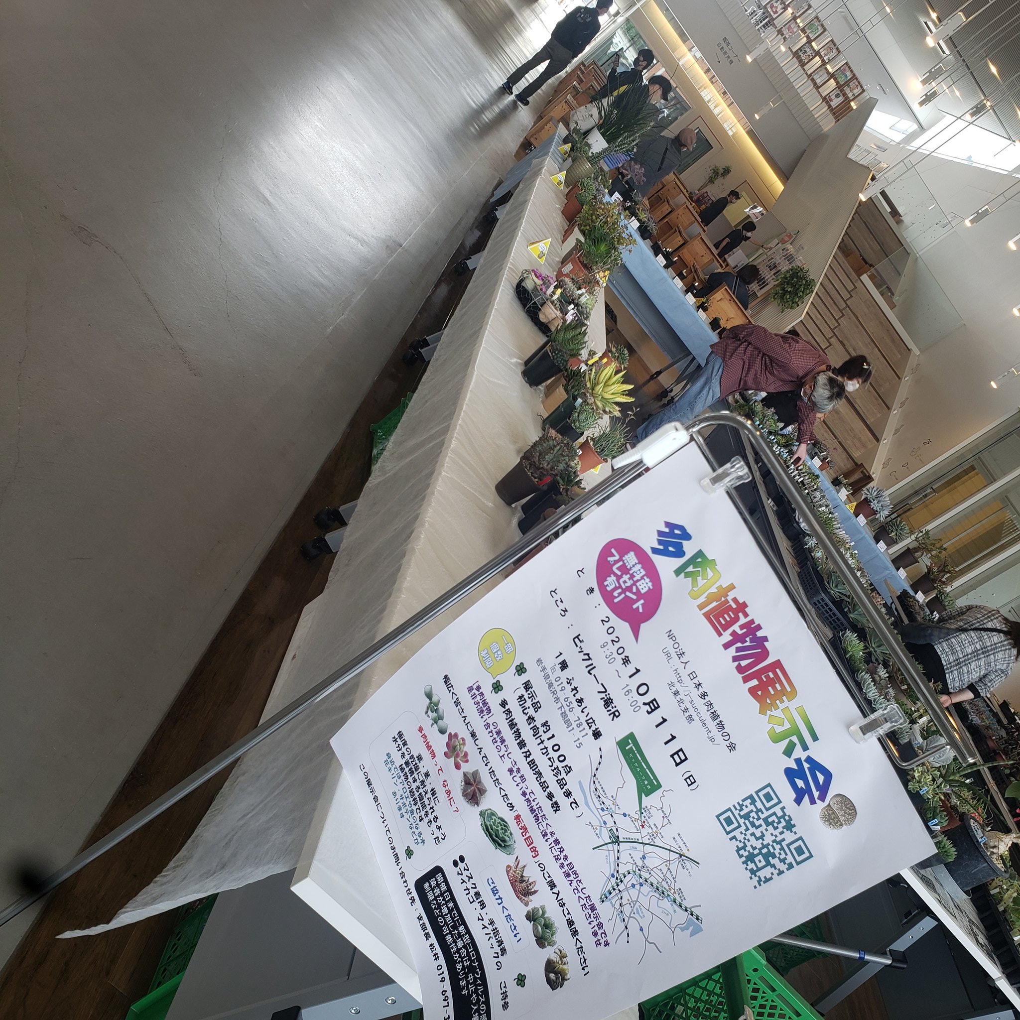 非営利法人 日本多肉植物の会 北東北支部 Jss Kitatouhoku Twitter