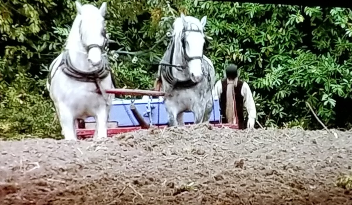 peg1_peg's tweet photo. presently viewing
#BBCTwo
2009 production
#VictorianFarm
Director
Stuart Elliott
Actors
Peter Ginn
Ruth Goodman
Alex Langland
S1 Ep1 (so far so goo) https://t.co/P4HpUYp0Ag