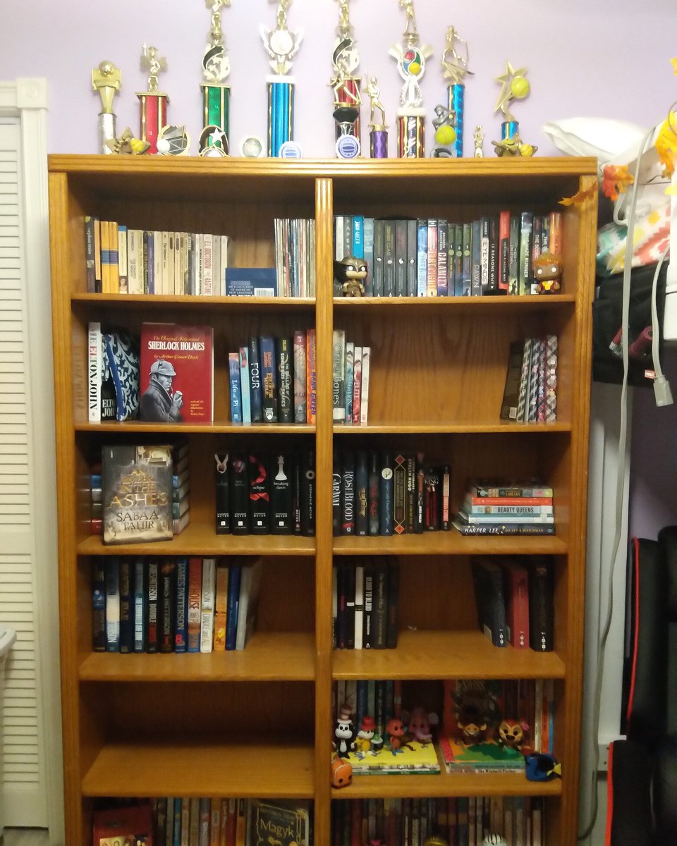 taniapopp's tweet photo. We had a spare bookcase, and the plan was to give it to Sam and Abby for their new bedroom. Needed a place to display all their trophies! Hopefully one more to add to the collection tomorrow. https://t.co/MNciDoPau5