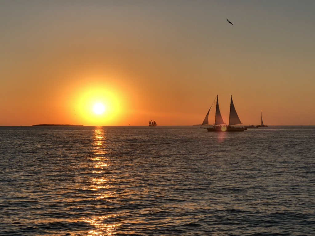 Just another Friday night in Key West. You too can live in Paradise, I can help you. Call 305-731-0501
#keywest #keywestflorida #keywestrealestate #keywestrealtor #garymcadams #garymcadamsrealtor #garymcadamsrealestate #garymcadamskeywest #realtorgary #sunset #sunsetsail #sailing