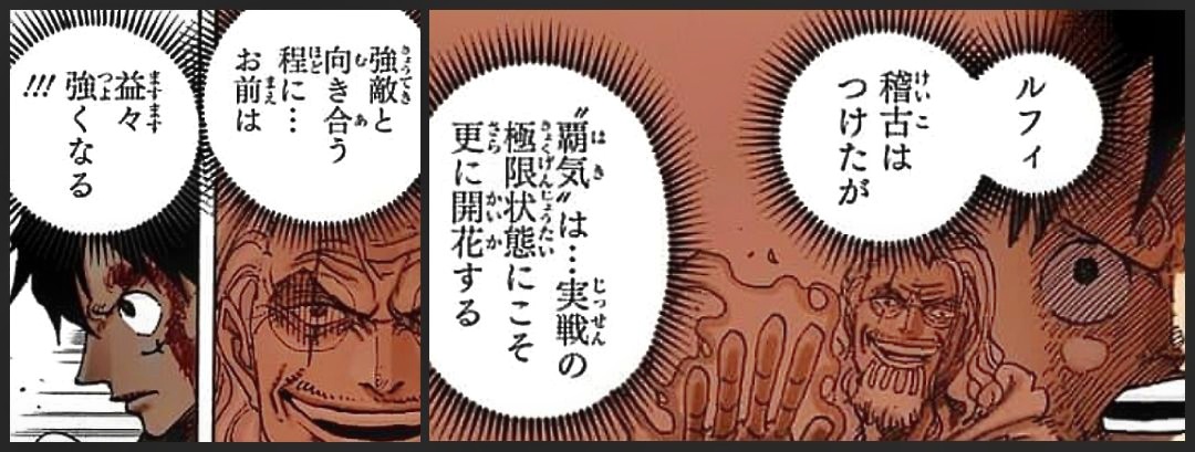 悪魔の実覚醒条件が確定 心身が能力に追いついた時起きるのが覚醒とワンピース1046話でカイドウが発言 アニシラ