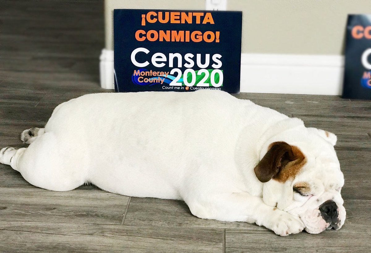2020Census_MC tweet picture