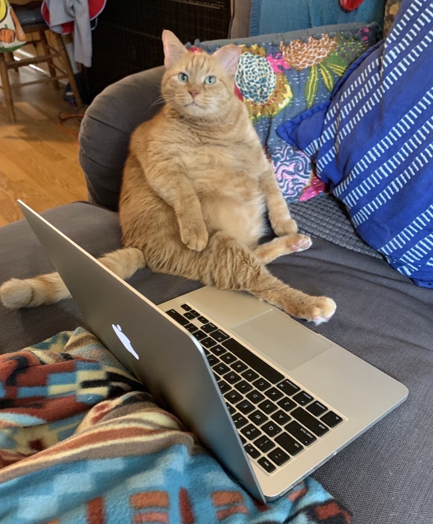 You’re working from home now?? I’m the boss!!