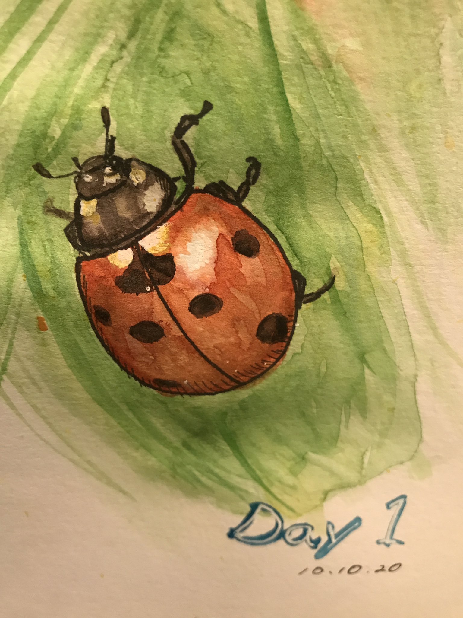 1010mushi Ladybug Day 1 Of My 1year Ladybug Challenge I Will Share My Own Original Ladybug Art Each Day てんとう虫アートワーク チャレンジ 1日目 てんとう虫イラスト Ladybugartwork てんとう虫アートワーク Ladybugchallenge てんとう虫