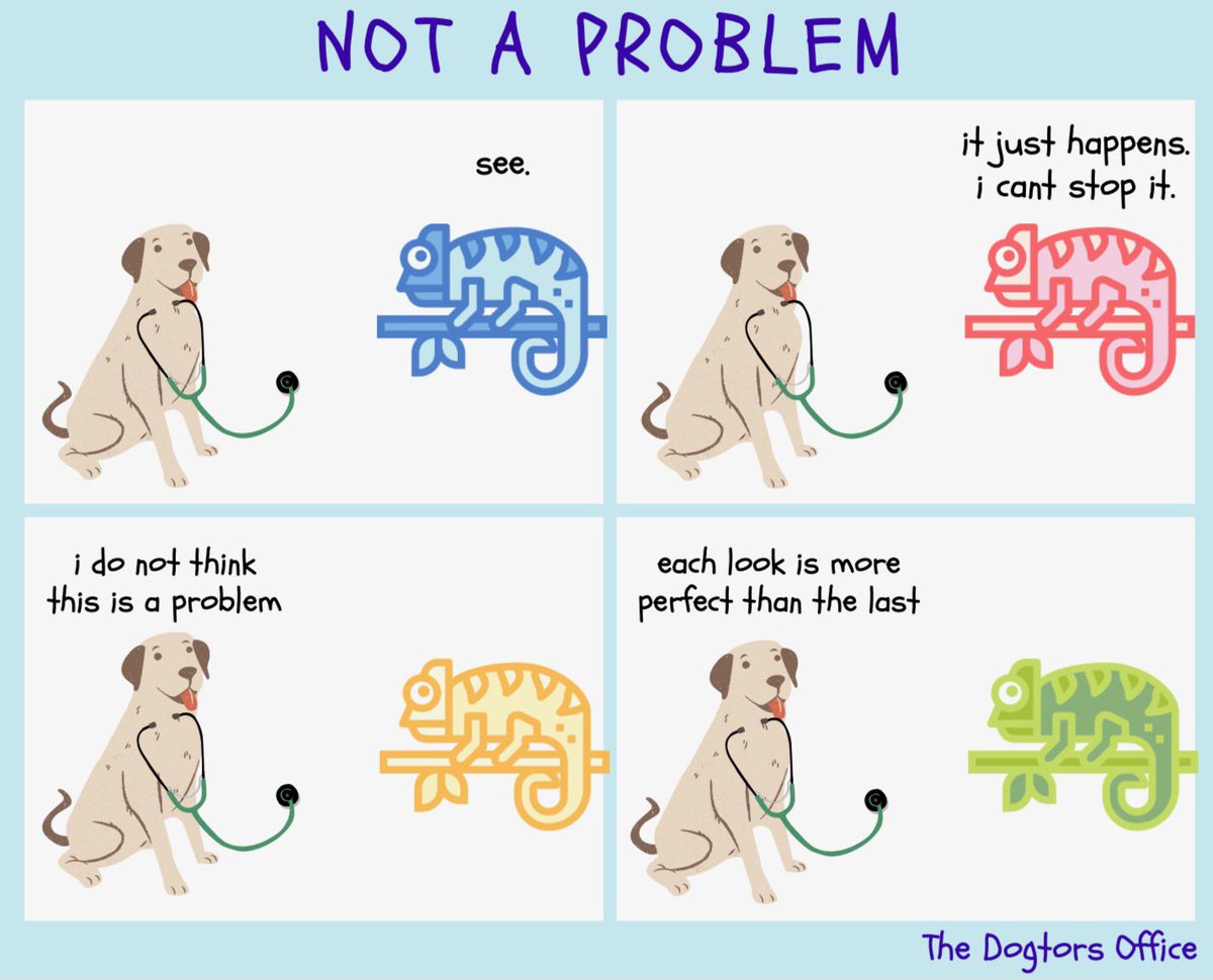 The Dogtors Office (@dogtorsoffice) on Twitter photo 