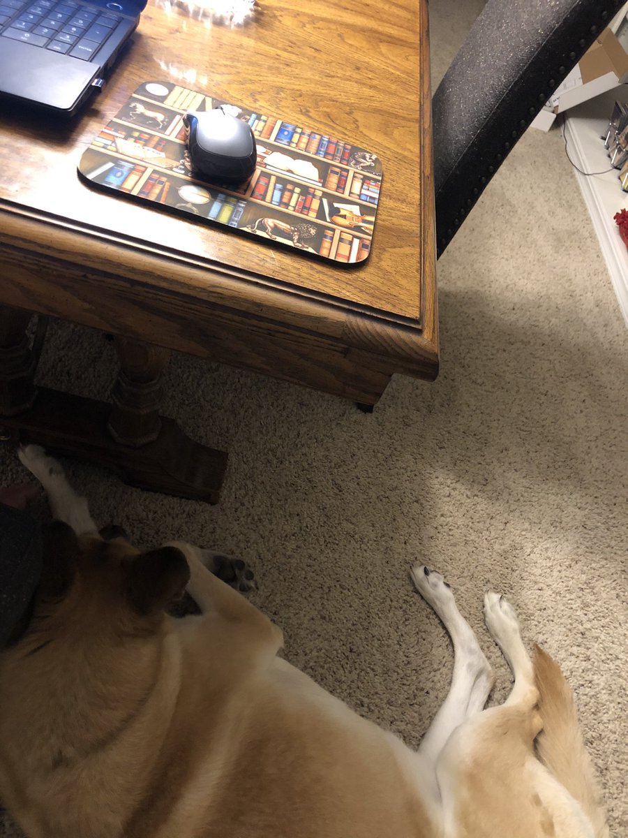 Jordan Ashley tweet media