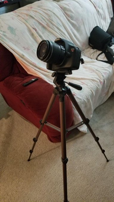 Excited to see what photos I can take with this 😸 https://t.co/G4yc6FPwUS<a href="/tag/sexvalues"class="tags"><span>#sexvalues</span></a>