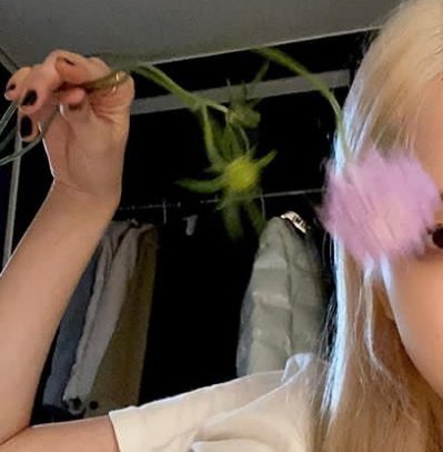 𓈒 ˙ 🐈 * แก้มอ้วน ✦ โรเซ่ : • / ยพท.ลฟตท * 𓈒