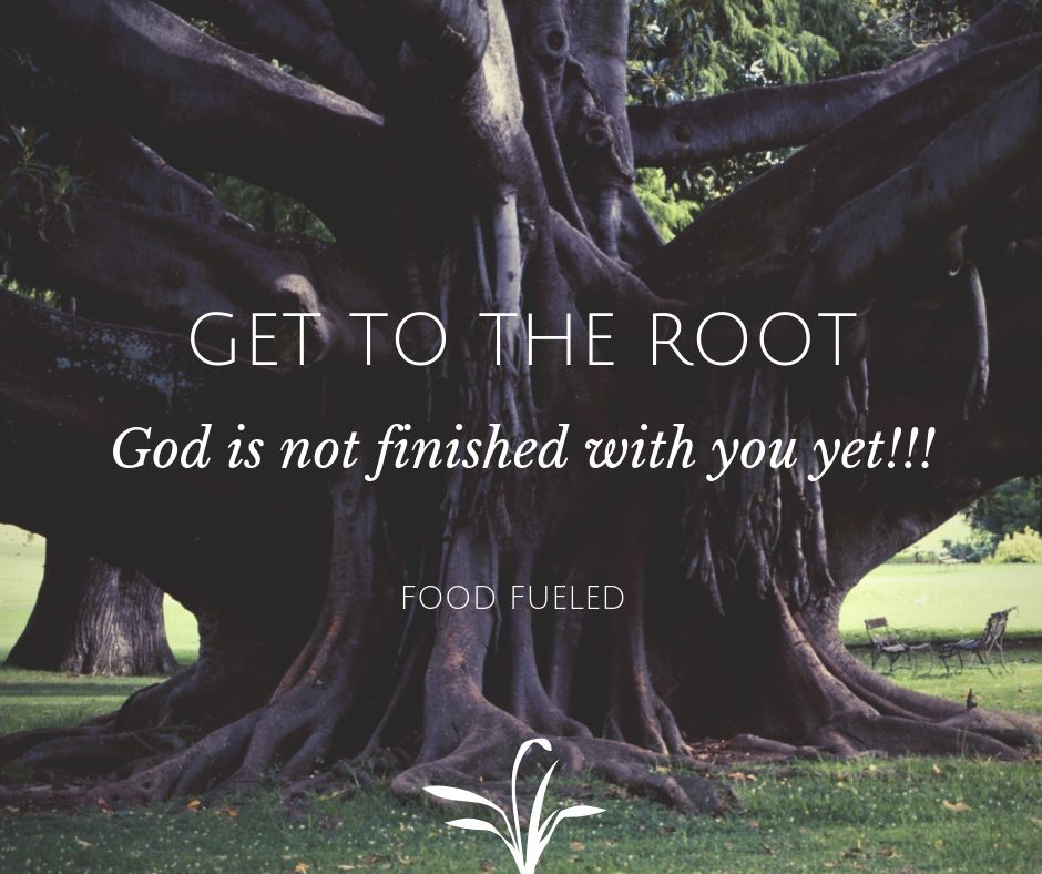 FoodFueled's tweet photo. We are fearfully and wonderfully made!! Getting to the root of your health issues are essential for restoration. Never settle for anything less. #autoimmune #mastcells #histamine #mood #pathogen #bacteria #mold #foodfueled https://t.co/hDW0SNi2We