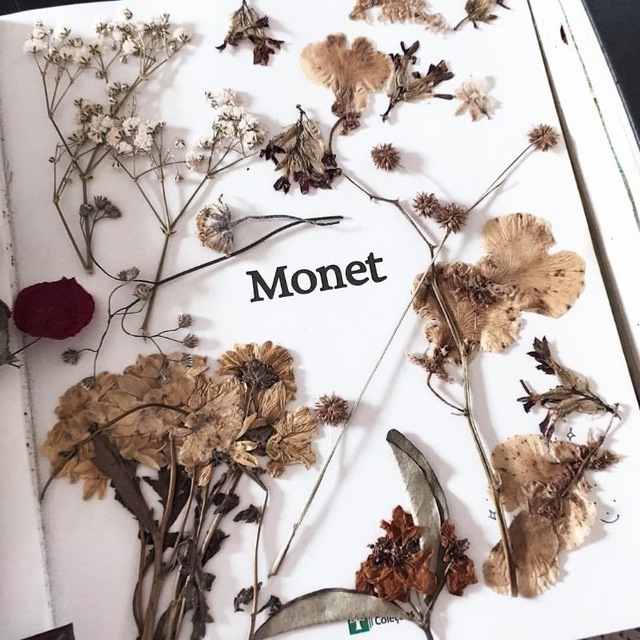 Selamat pagi berkenan menambahkan gadis manis ini mejadi salah satu pengikut kalian? Untuk menjalin relasi pertemanan
⬇️⬇️⬇️
Fambest DM
Fb like or rt 🌙
#roleplayerindo #roleplayer #rpindonesia #rootrp #rootrpw #roleplayerkpop #roleplayerindonesia #fambest