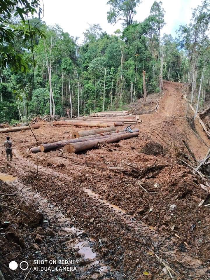 Rumbunisme's tweet photo. Gunung sakral keramat dayak di peyuyan barito utara di rusak oleh PT.Indexim.
Gak papa, Ini bukan halte juga toh... https://t.co/3plt2bCu1Q